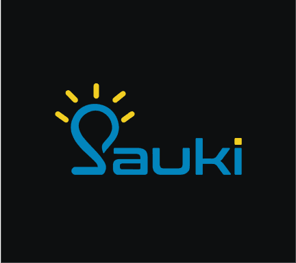 Sauki Blog Cover